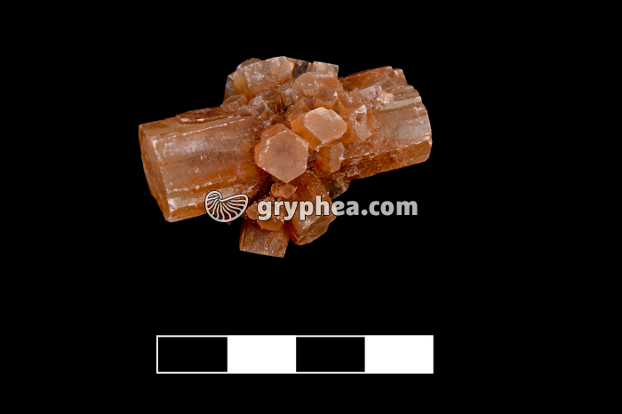 Aragonite (Ca CO3) - gryphea.com